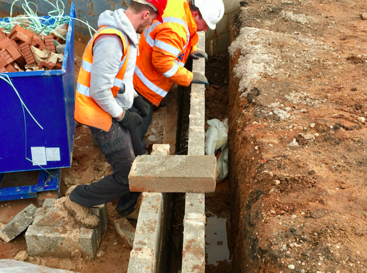 Stuck: Builders removed the bricks block by block to rescue the swan (SWNS)