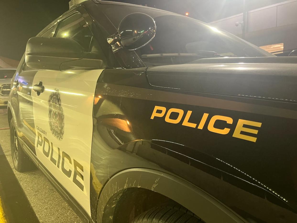 The Calgary Police Service's task force looking into a September 2023 melee in Falconridge has concluded its formal investigation. (David Bell/CBC - image credit)