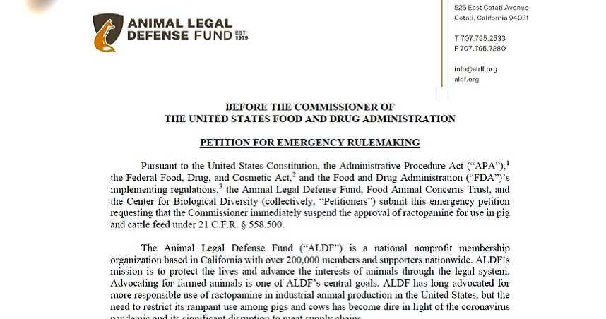 美國動物法律辯護組織（ALDF）給FDA的緊急請願書中，引用FDA對萊劑的研究，提到動物吃進萊劑後，就會有吸食搖頭丸及甲基安非他命後的反應。