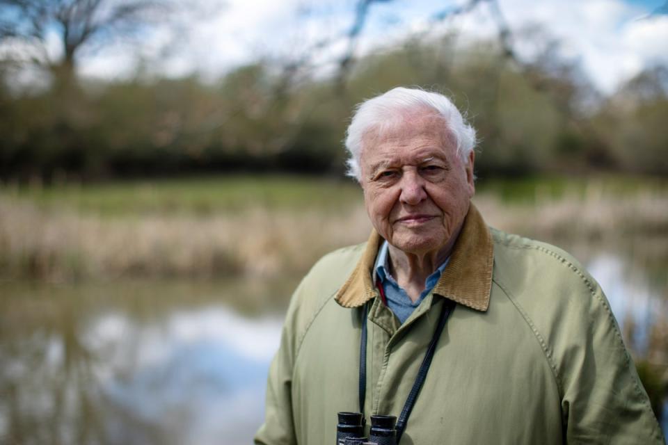 Sir David takes an active role in front of the camera in the latest series (Toby Strong / PA)