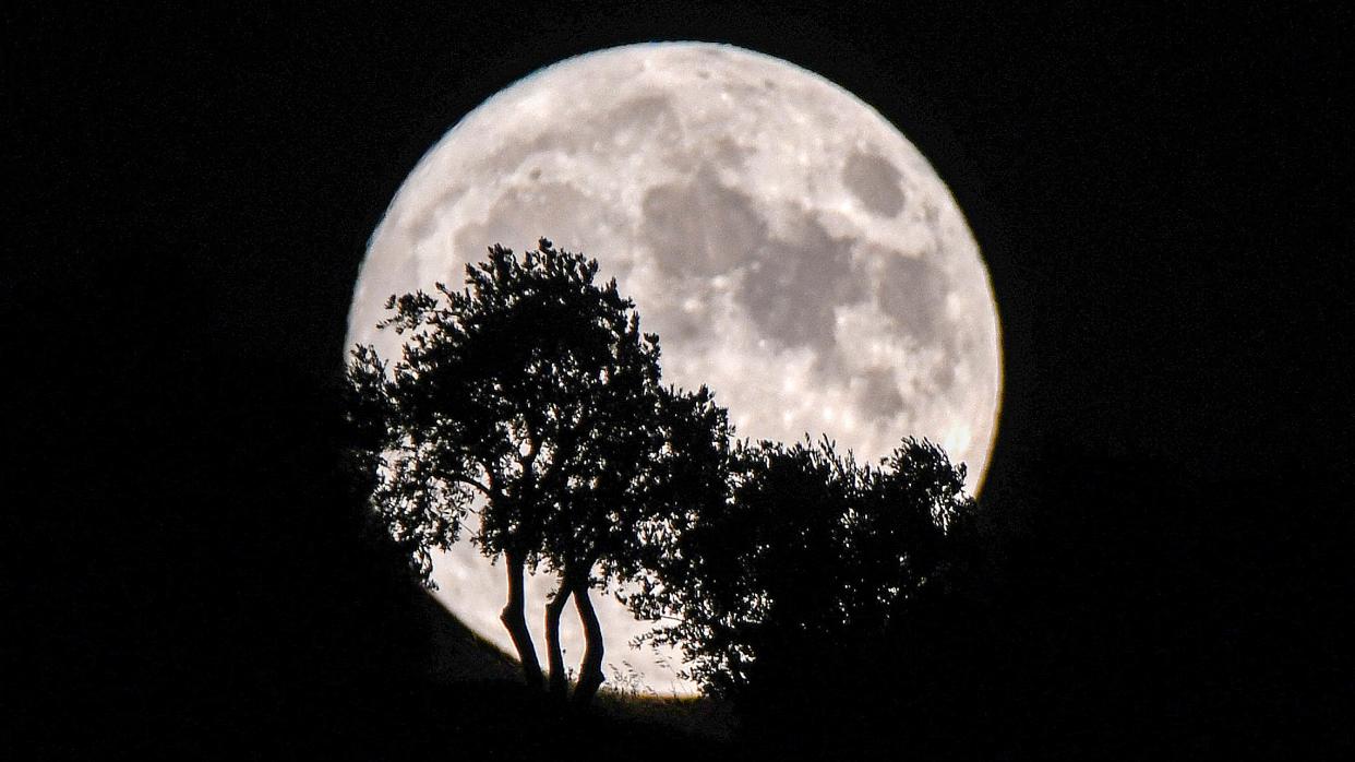  Full Moon November 2023. 