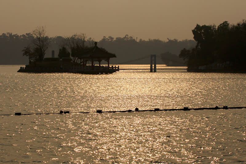 澄清湖濕地水岸的生態(Photo via Wikimedia, by lightmatter, License: CC BY 2.0，圖片來源：https://zh.wikipedia.org/wiki/File:Toapi_Lake_evening.jpg)