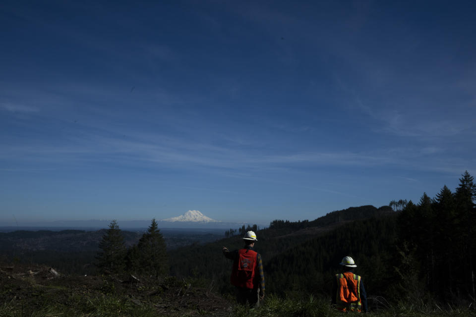 Washington State Department of Natural Resources geologists Mitch Allen and Emilie Richard walk out to examine the site of a landslide in the Capitol Forest, Thursday, March 14, 2024, in Olympia, Wash. (AP Photo/Jenny Kane)
