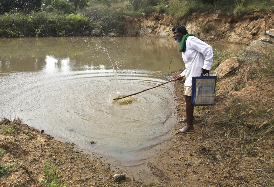 Kalmane Kamegowda, a 72-year-old shepherd, swings his stick to splash water in one of the 16 ponds he created at a hillock near Dasanadoddi village, 120 kilometers (75 miles) west of Bengaluru, India, Wednesday, Nov. 25, 2020. Kamegowda, who never attended school, says he's spent at least $14,000 from his and his son’s earnings, mainly through selling sheep he tended over the years, to dig a chain of 16 ponds on a picturesque hill near his village. (AP Photo/Aijaz Rahi)
