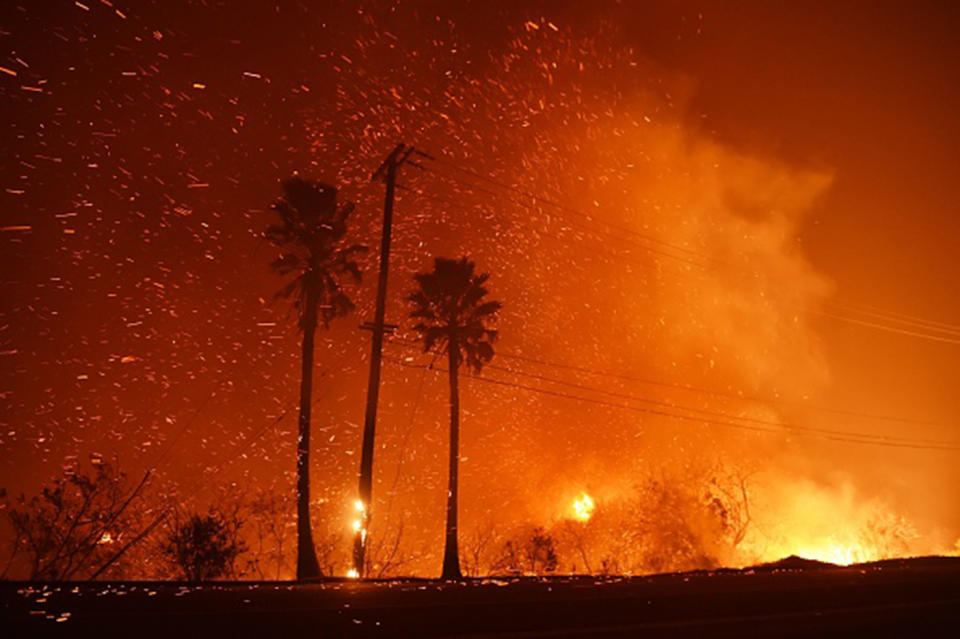 The Woolsey Fire (pictured) in California, claimed Ms Edman's home