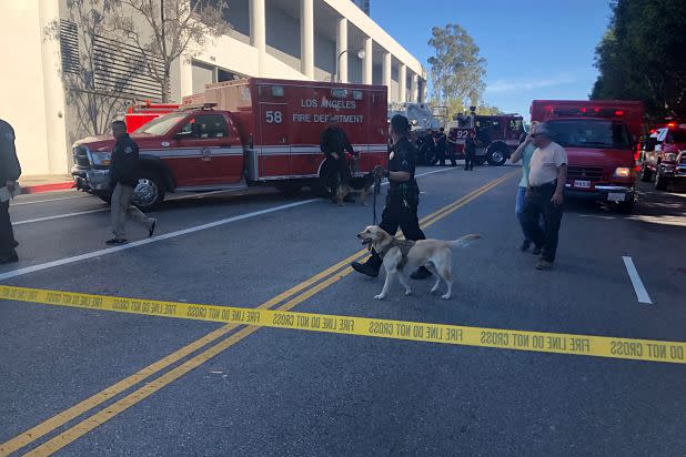 Bomb sniffing dogs Century City