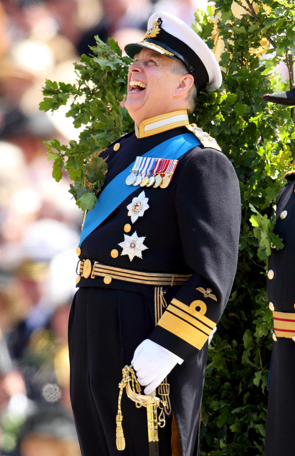 Prince Andrew in military uniform