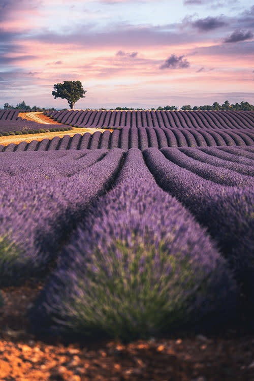 瓦隆索高原（Image Source : Getty Creative）