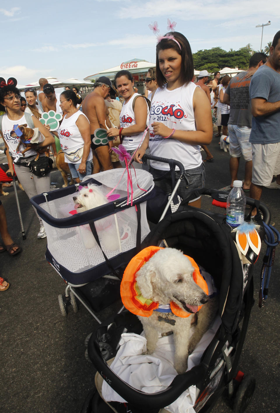 People take their dogs to the "Blocao" dog carnival parade in Rio de Janeiro, Brazil, Sunday, Feb. 12, 2012. (AP Photo/Silvia Izquierdo)