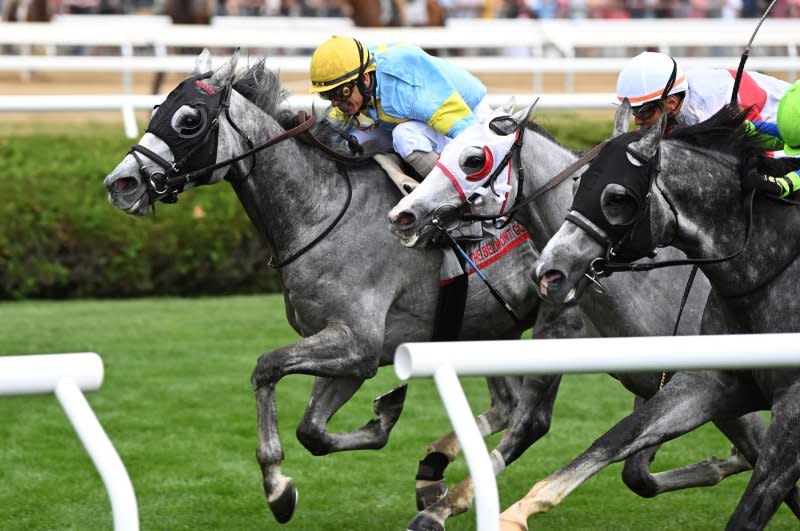 The Grey Wizard (L) wins in a three-way, all-gray photo finish in Thursday's Belmont Gold Cup at Saratoga. Coglianese Photography, courtesy of NYRA