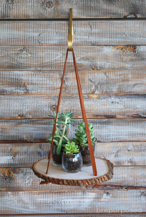 Hanging Wood Slice Plant Stand