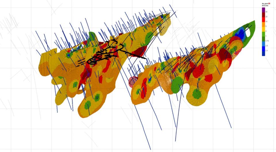 3D Rotated view of the Joshua and Kearney vein block models.