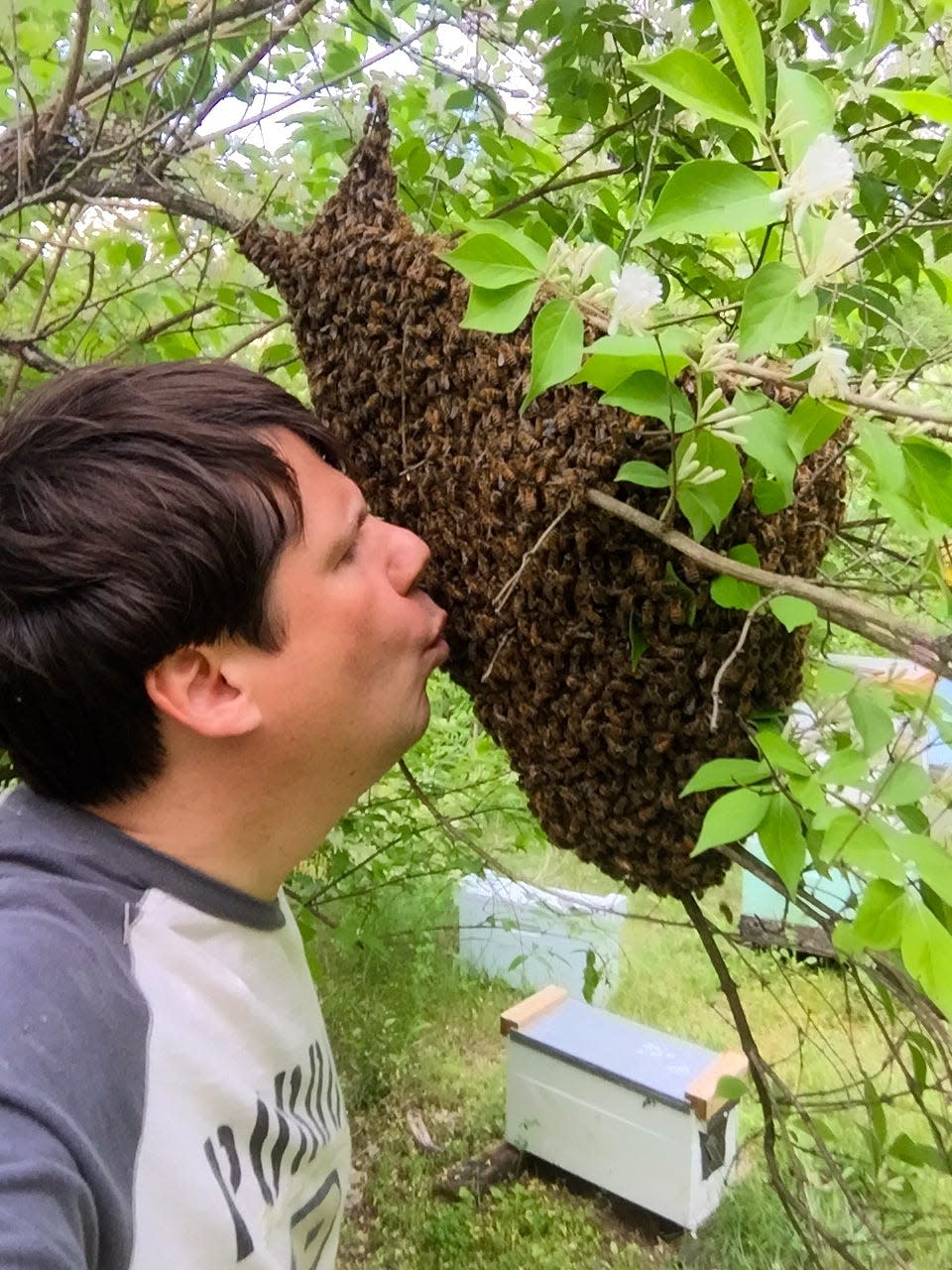 Krispn Given is a honey bee breeder and researcher at Purdue University. At the university, he focuses on breeding bees that have an immunity to the Varroa Mite. The Varroa Mite is one of the largest threats to bee populations.