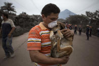 <p>A resident cradles his dog after rescuing him near the Volcan de Fuego, or “Volcano of Fire,” in Escuintla, Guatemala, June 4, 2018. (Photo: Luis Soto/AP) </p>