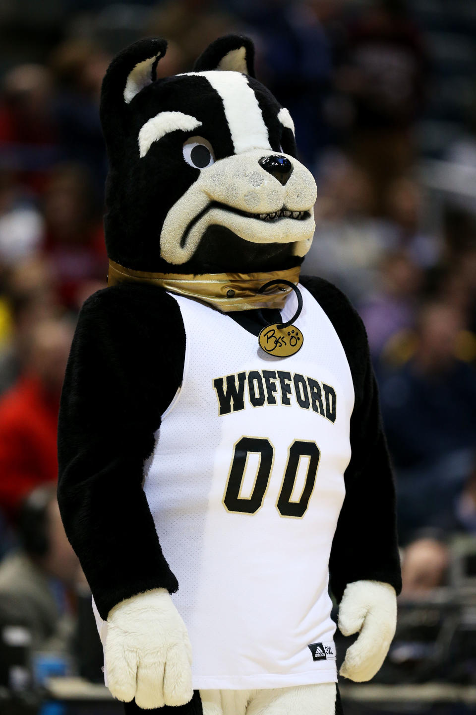 MILWAUKEE, WI - MARCH 20:  The Wofford Terriers mascot looks on against the Michigan Wolverines during the second round of the 2014 NCAA Men's Basketball Tournament at BMO Harris Bradley Center on March 20, 2014 in Milwaukee, Wisconsin.  (Photo by Jonathan Daniel/Getty Images)