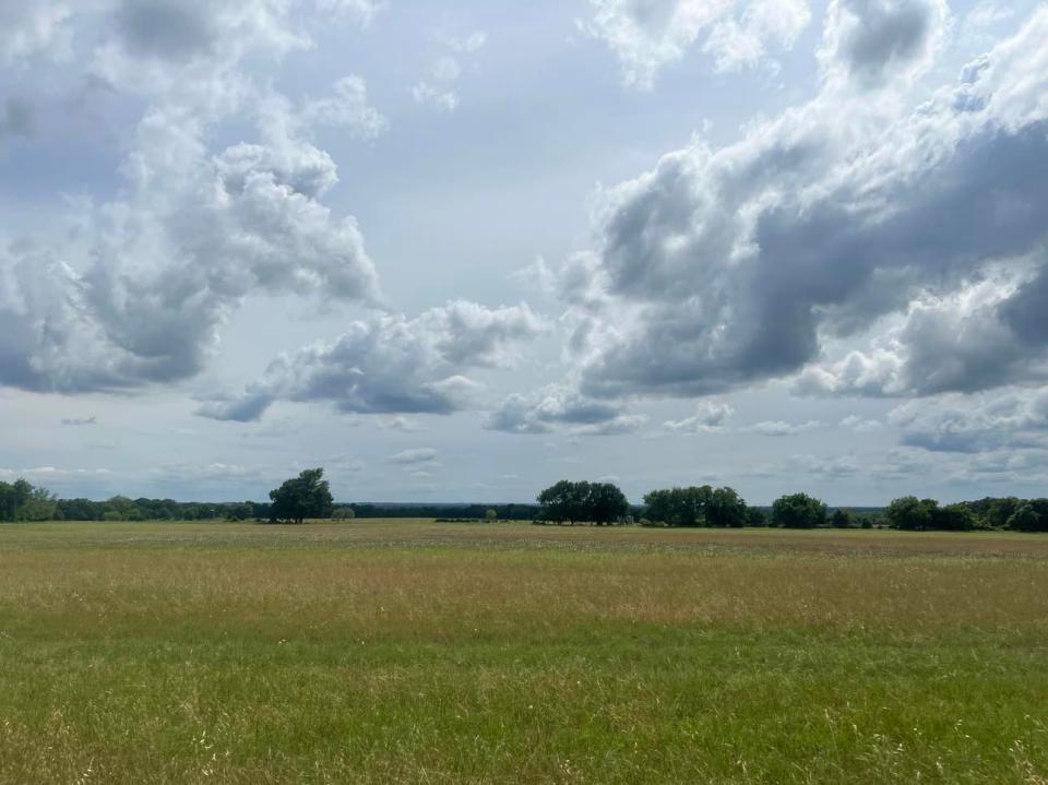 Sitting off the banks of the Brazos River, Fuller's Folly River Ranch in Weatherford, Texas, offers four unique accommodations — a 1920s farmhouse, a safari tent, and two impressive treehouses — all designed to connect guests with nature.