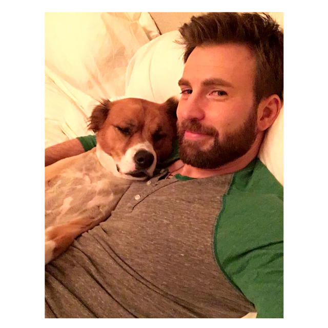 Chris Evans Gets His Dog Dodger a Matching Shirt from The Gray Man