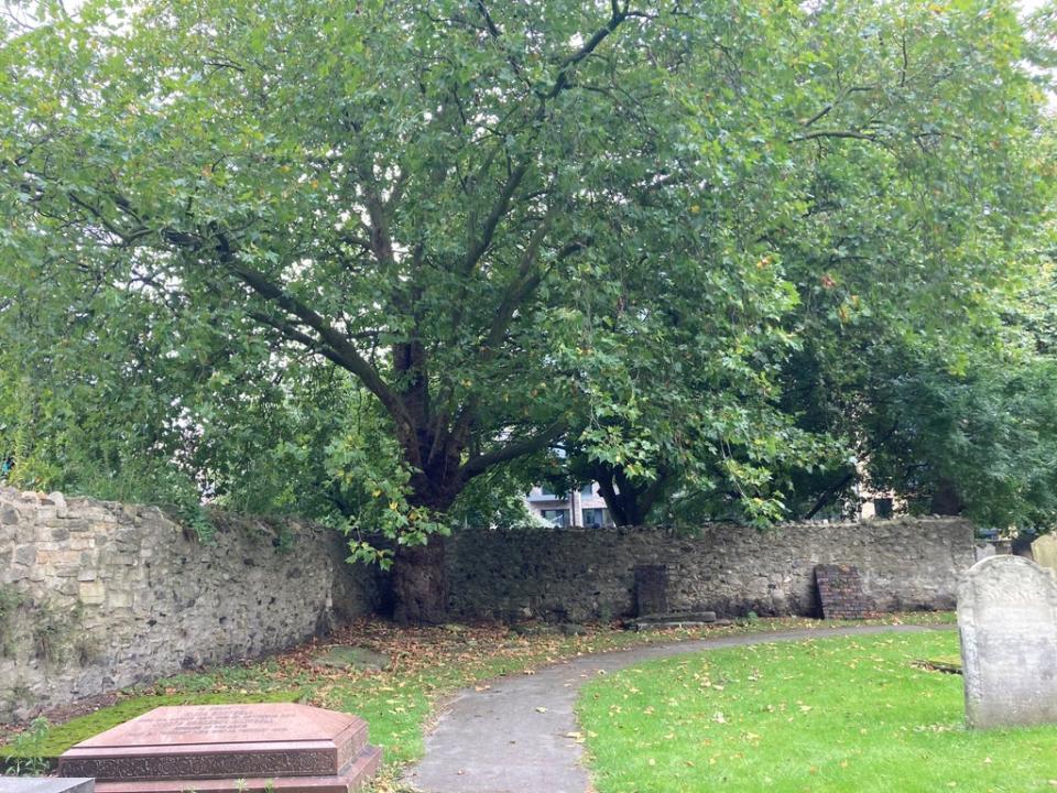 A corner of St Margaret’s Churchyard in Barking, east London, where Gabriel Kovari and Daniel Whitworth were found (Emily Pennink/PA) (PA Wire)