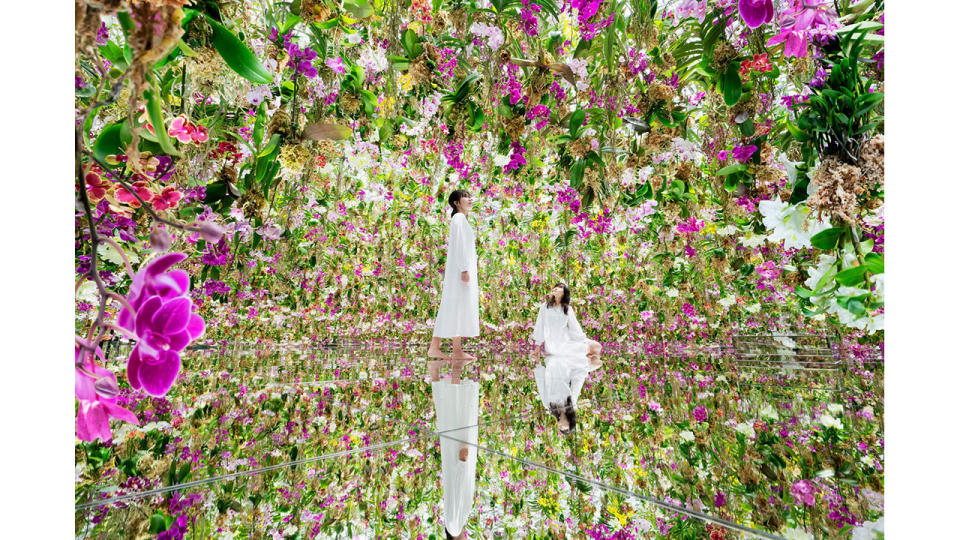 teamLab Planets, a body immersive museum in Toyosu, Tokyo, runs until the end of 2027. (teamLab, Highlight video of teamLab Planets, Toyosu, Tokyo / Video: teamLab)