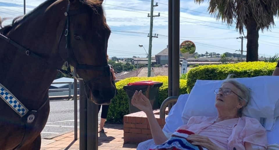 Rita Meredith (nee Browning) with one of the NSW Mounted Police Horses. Photo Credit: NSW Mounted Police