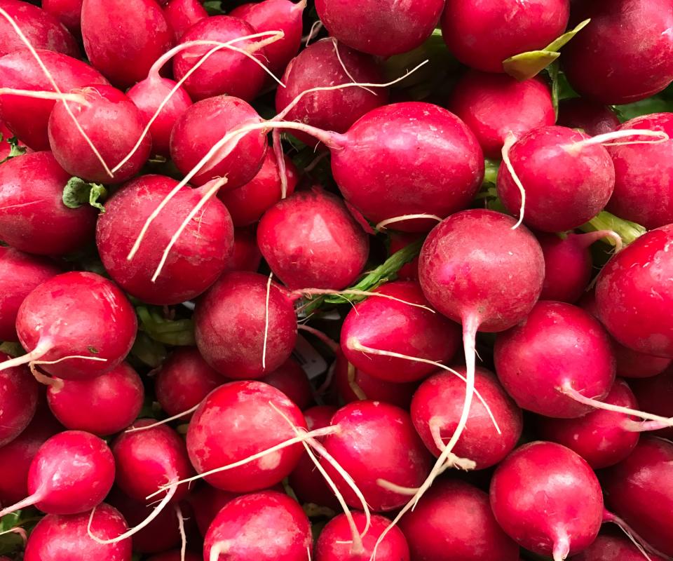 Globe-shaped salad radishes