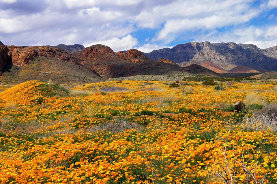 President Joe Biden will announce Tuesday that he will sign proclamations establishing the Castner Range National Monument in El Paso, Texas.