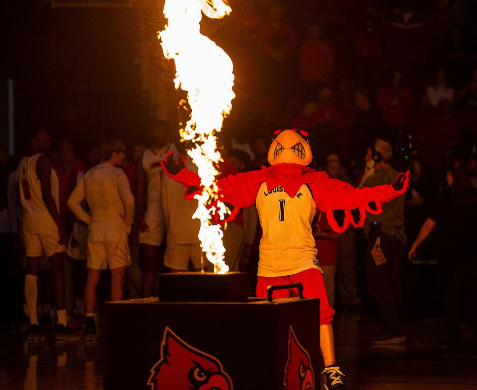 The Cardinal mascot hyped the crowd during pre-game introductions before Louisville took on Lipscomb at the KFC Yum! Center in downtown Louisville Tuesday night. The Cards fell to the Bisons, 75-67. Dec. 20, 2022