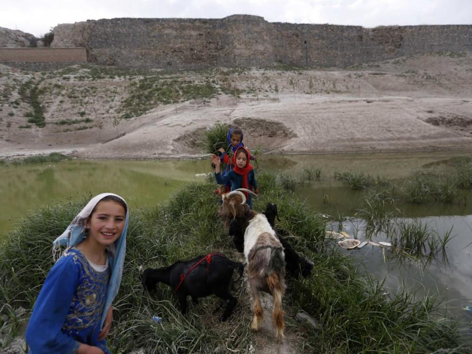 Girls Afghanistan goats 