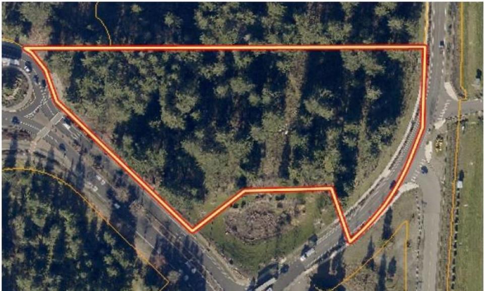 The proposed location of two new hotels in Lacey at 2315 Hogum Bay Road NE. One hotel will have 128 rooms, the other 98 rooms, according to the city.