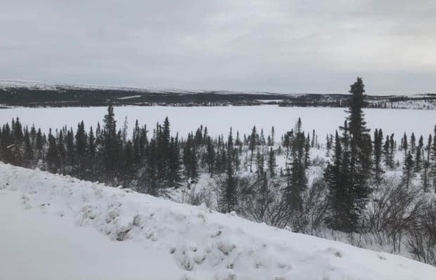 Anita Koe said it's important for the camp to take place on the land, because it helps people stayed focused and engaged. 'In a community, it would be too many distractions,' she said. 