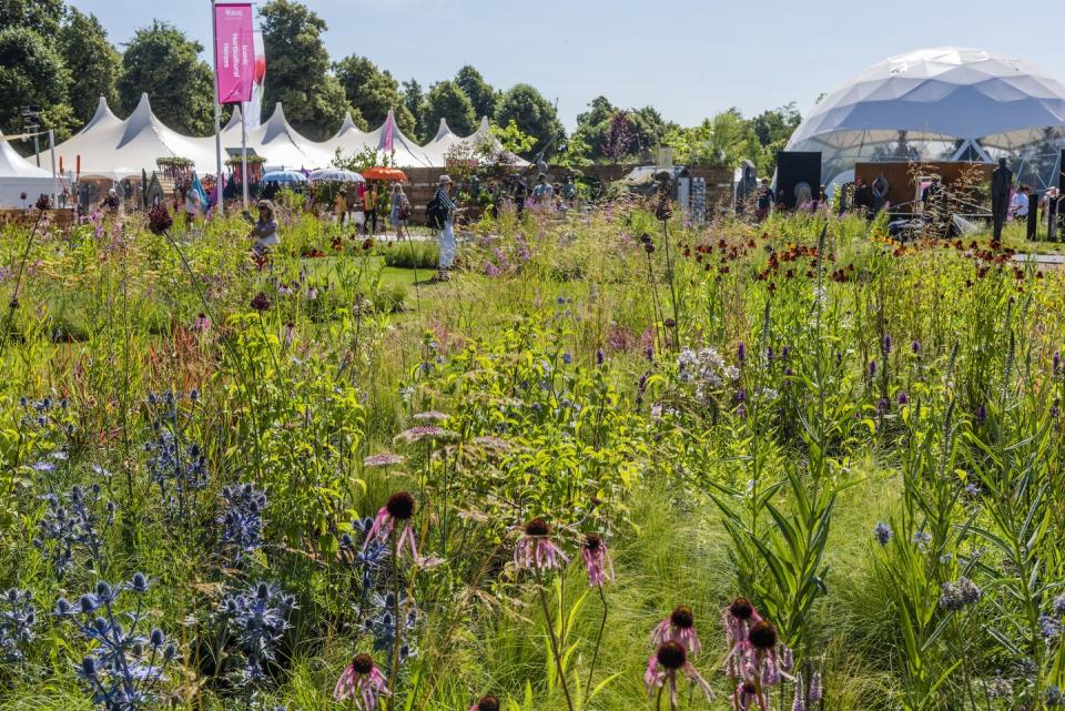 iconic horticultural heroes summer beds with piet oudolf designed by peter oudolf rhs hampton court palace flower show 2018