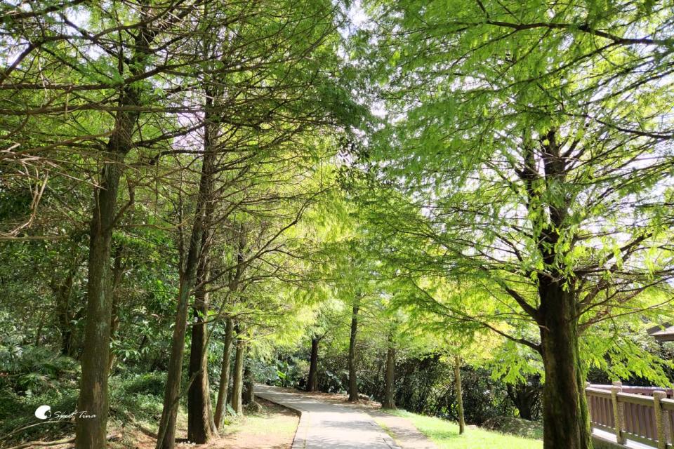 台北冷擎步道