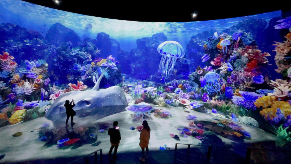 Imagine you're on the seabed in Waterfall. (Photo: Lim Yian Lu)
