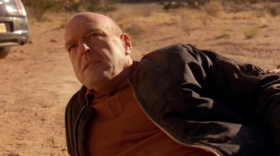 photo of Hank Schrader