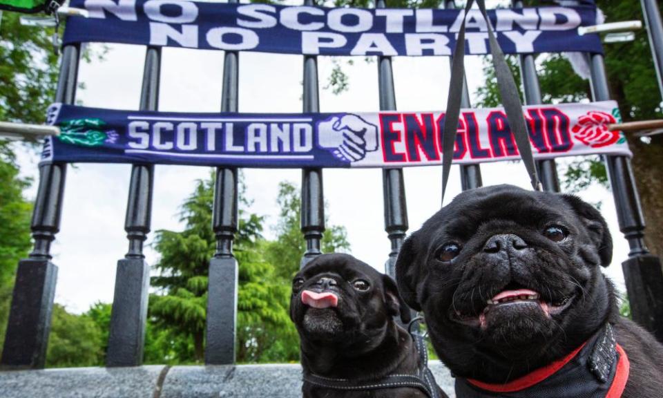 <span>Photograph: Murdo MacLeod/The Guardian</span>