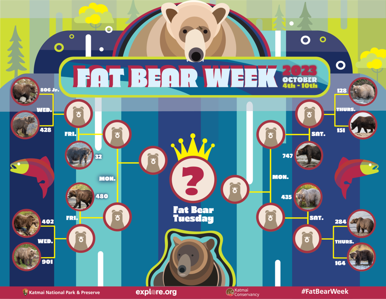 Fat Bear Week 2023 bracket. 