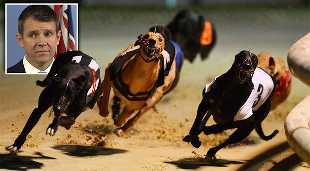 Premier Mike Baird has announced a ban on greyhound racing from July 1 next year. Photo: AAP. Inset: AAP