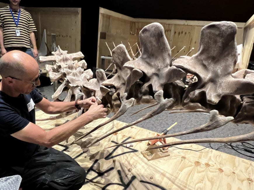 A person unboxing and assembling pieces of the new Spinosaurus exhibit.