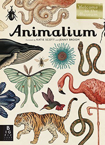 6) Animalium: Welcome to the Museum