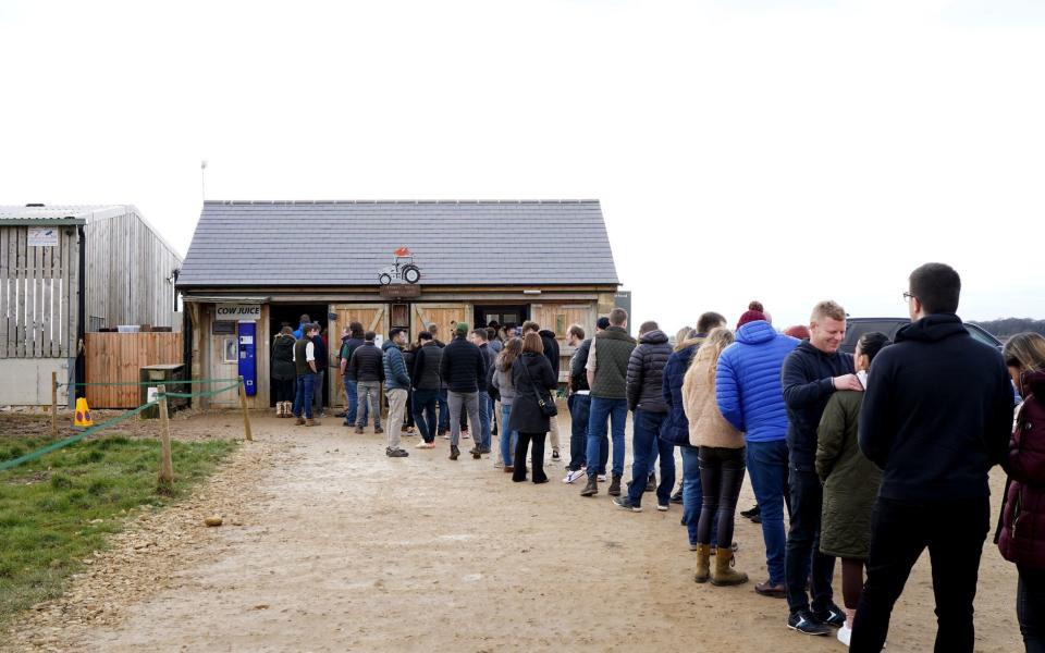 The queue outside Diddly Squat Farm Shop in February 2023
