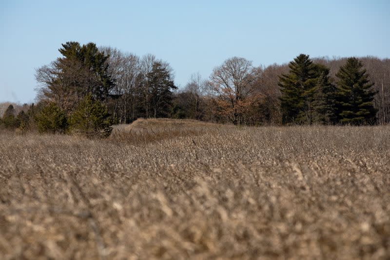 Land used for oil leases