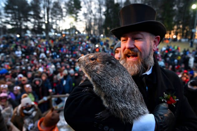 Punxsutawney Phil looks at the crowd gathered for Groundhog Day.