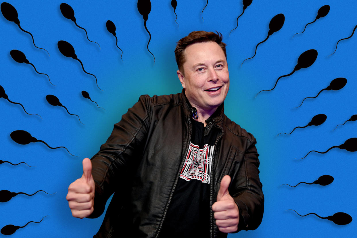 elon musk breeder kink repopulation myth - Credit: Photo illustration by Griffin Lotz for Rolling Stone. Images in illustration by Britta Pedersen-Pool/Getty Images; Adobe Stock