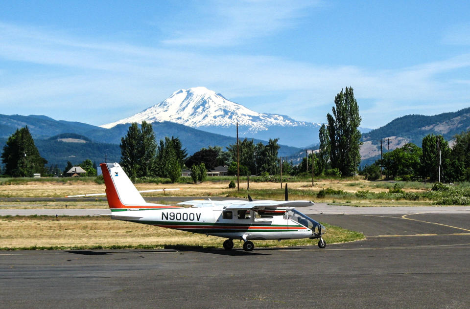 Each summer, small high-wing planes soar about 1,000 feet above the tree canopy at about 100 mph, trained observers peer outside both windows of the plane, looking for noticeable damage to trees.  (USFS)