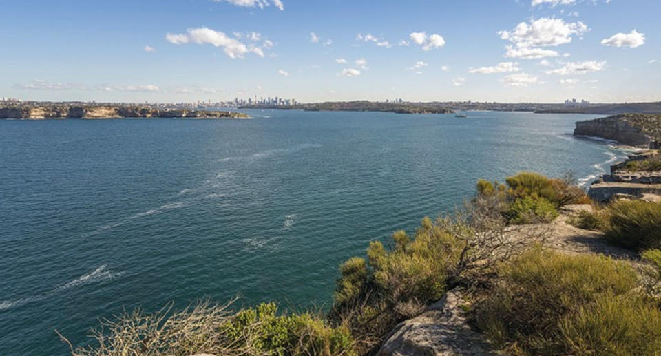 The view from Manly's North Head over Sydney Harbour. Source: NSW NPWS