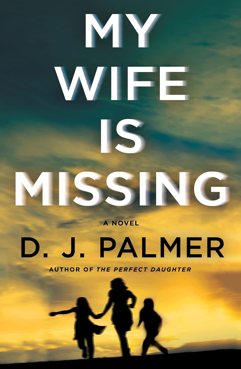 'My Wife is Missing' by D.J. Palmer
