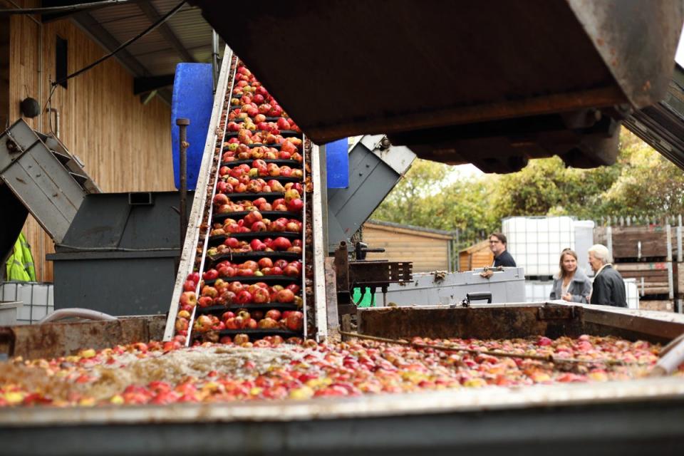 You might catch the pressing in progress at Dunkertons Cider (Dunkertons Cider)