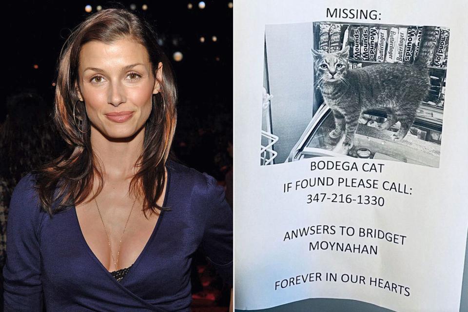 Bridget Moynahan posted on her Instagram story a photo of a missing cat flyer of a cat that is called &quot;Bridget Moynahan.&quot;  https://www.instagram.com/stories/bridgetmoynahan/3014899209799737453/?hl=en