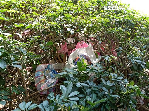 管永安撿的回收物包括紙箱、寶特瓶、雨傘。（圖／記者游承霖攝影）