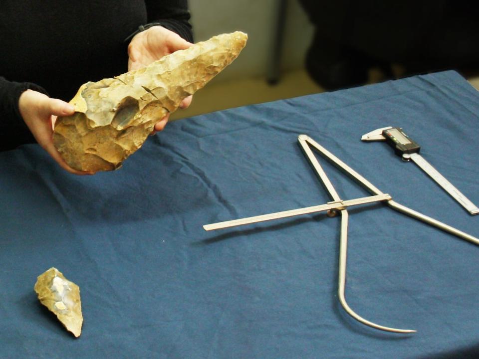 An archeologist hold up the largest handaxe, while other artefacts are laid out on the table in front of her.